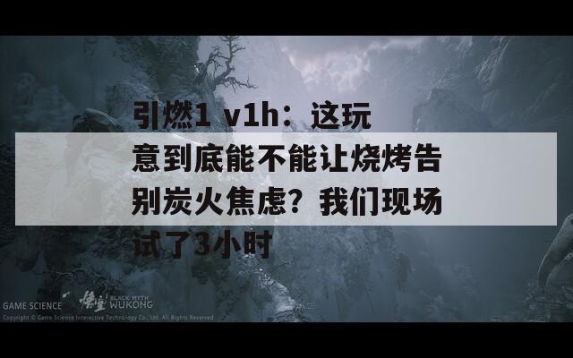 引燃1 v1h：这玩意到底能不能让烧烤告别炭火焦虑？我们现场试了3小时  第1张
