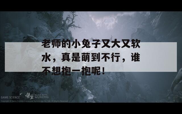 老师的小兔子又大又软水，真是萌到不行，谁不想抱一抱呢！  第1张