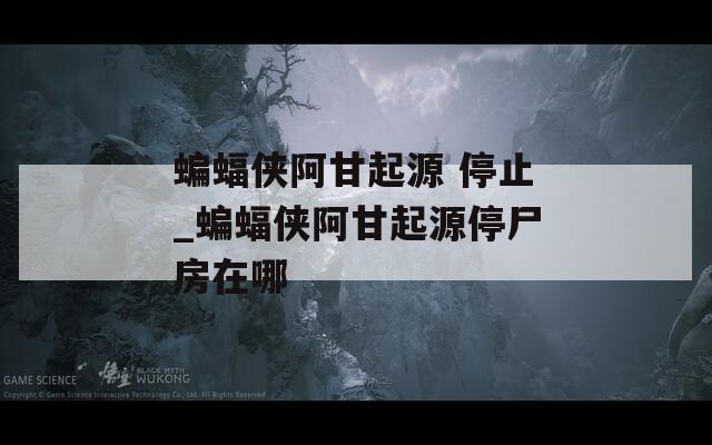 蝙蝠侠阿甘起源 停止_蝙蝠侠阿甘起源停尸房在哪