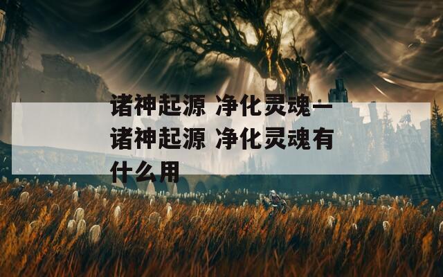 诸神起源 净化灵魂—诸神起源 净化灵魂有什么用