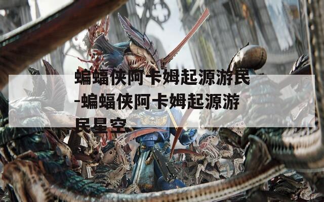 蝙蝠侠阿卡姆起源游民-蝙蝠侠阿卡姆起源游民星空