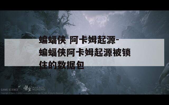 蝙蝠侠 阿卡姆起源-蝙蝠侠阿卡姆起源被锁住的数据包