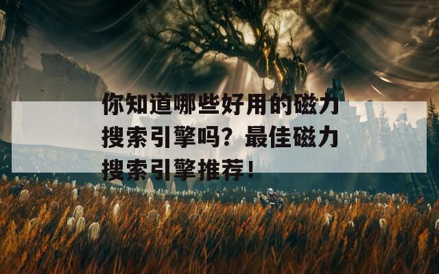你知道哪些好用的磁力搜索引擎吗？最佳磁力搜索引擎推荐！