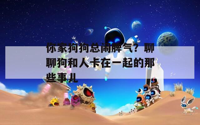 你家狗狗总闹脾气？聊聊狗和人卡在一起的那些事儿  第1张