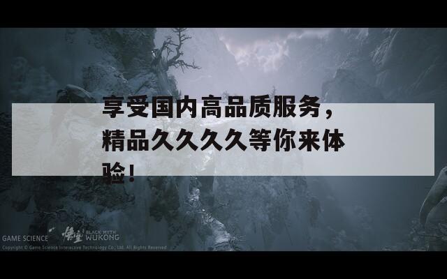 享受国内高品质服务，精品久久久久等你来体验！  第1张