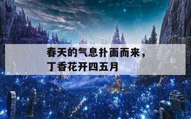 春天的气息扑面而来，丁香花开四五月