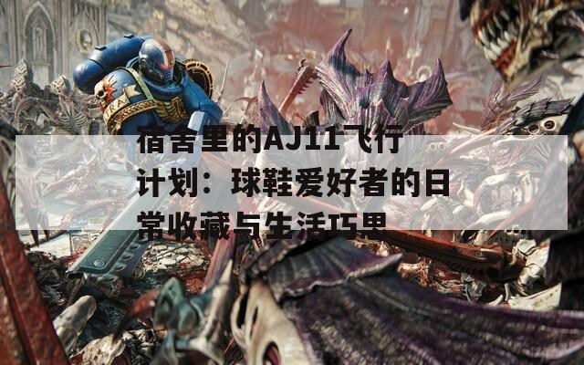 宿舍里的AJ11飞行计划：球鞋爱好者的日常收藏与生活巧思  第1张