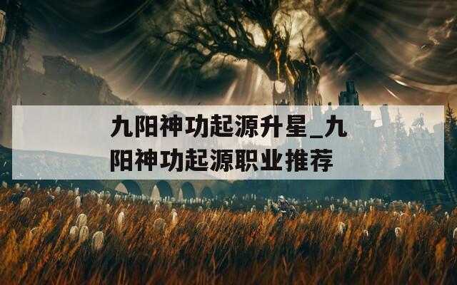 九阳神功起源升星_九阳神功起源职业推荐