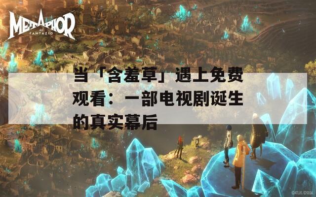 当「含羞草」遇上免费观看：一部电视剧诞生的真实幕后