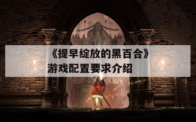 《提早绽放的黑百合》游戏配置要求介绍