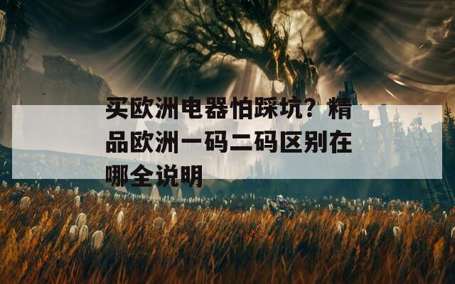 买欧洲电器怕踩坑？精品欧洲一码二码区别在哪全说明