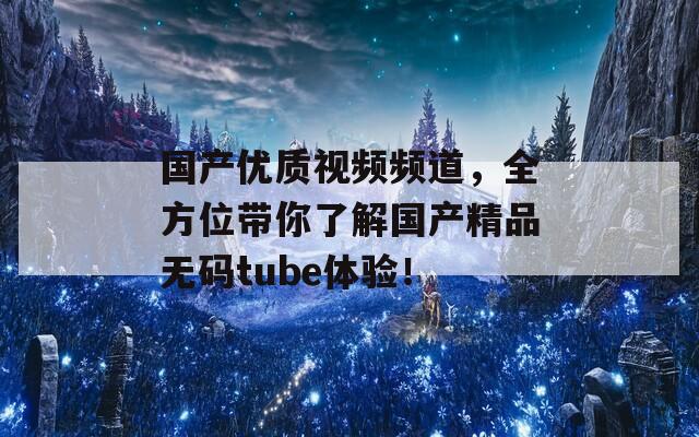 国产优质视频频道，全方位带你了解国产精品无码tube体验！
