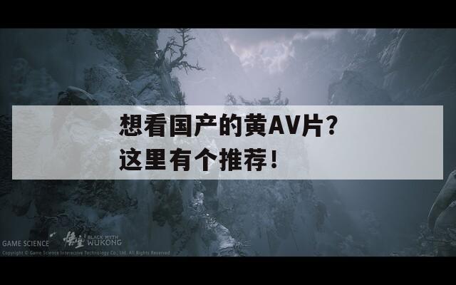 想看国产的黄AV片？这里有个推荐！