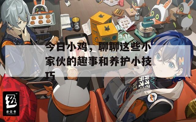 今日小鸡，聊聊这些小家伙的趣事和养护小技巧  第1张