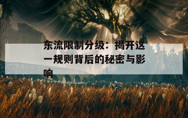 东流限制分级：揭开这一规则背后的秘密与影响  第1张