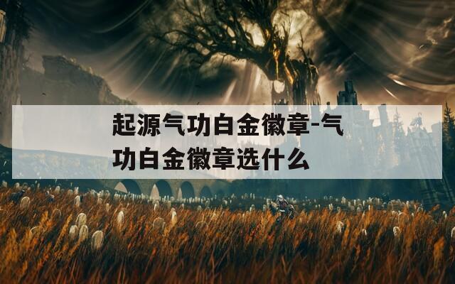 起源气功白金徽章-气功白金徽章选什么  第1张
