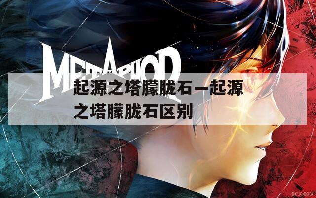 起源之塔朦胧石—起源之塔朦胧石区别