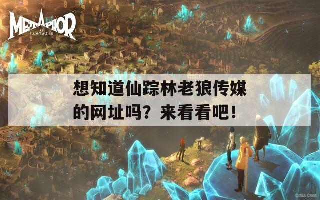 想知道仙踪林老狼传媒的网址吗？来看看吧！