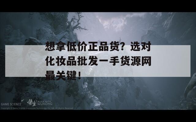 想拿低价正品货？选对化妆品批发一手货源网最关键！  第1张